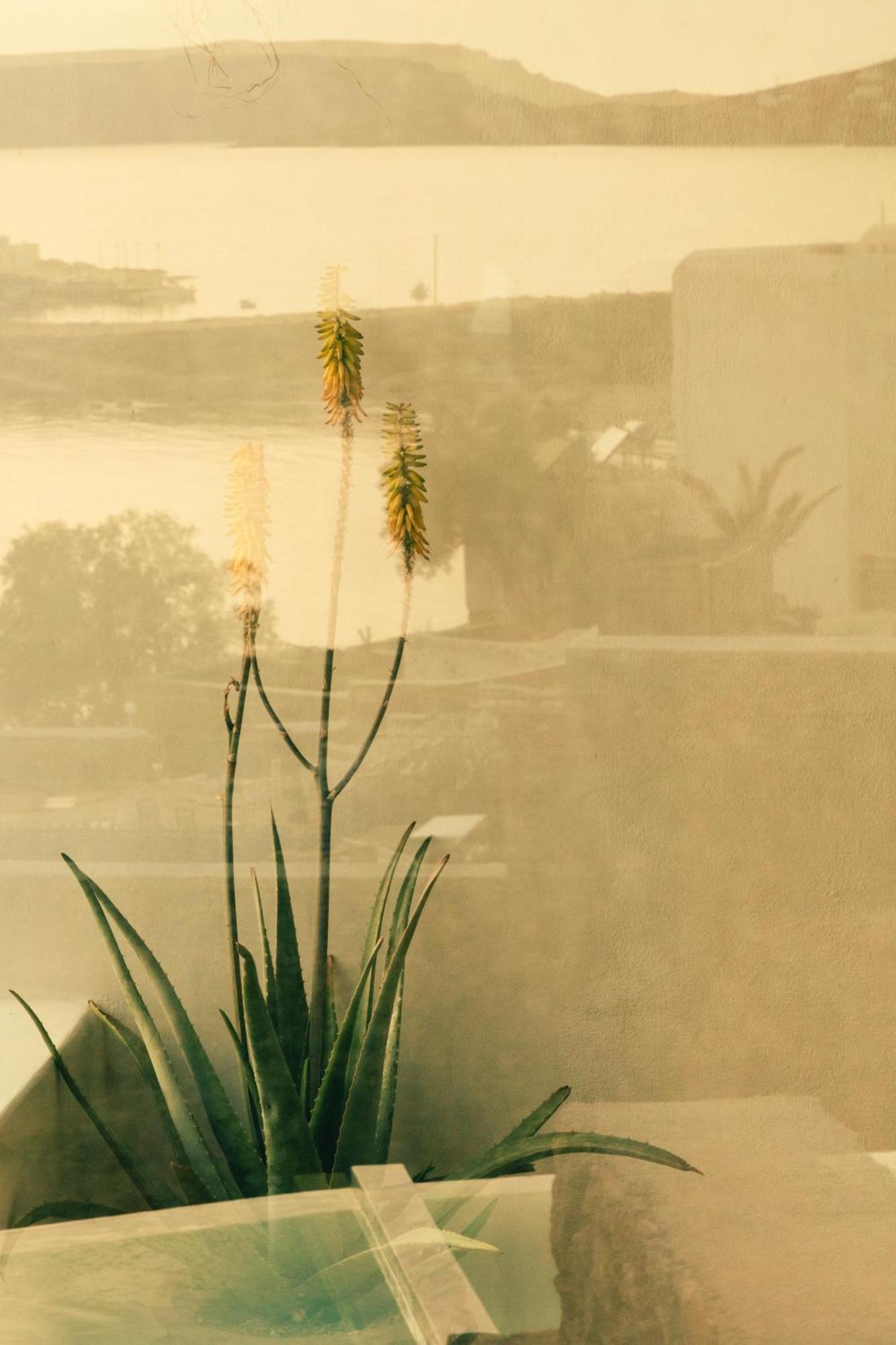 The Wild By Interni Hotel Kalafatis Bagian luar foto